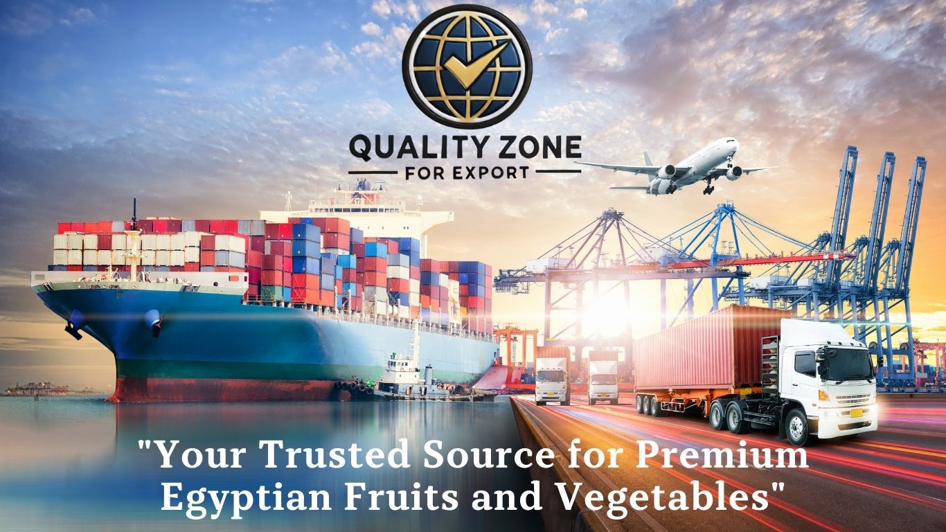 Quality Zone For Export – Premium Egyptian Agricultural Exports