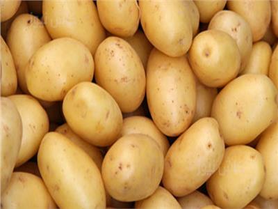 Quality Zone For Export – Premium Egyptian Agricultural Exports